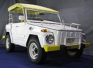 1973 2-Door Acapulco VW Thing