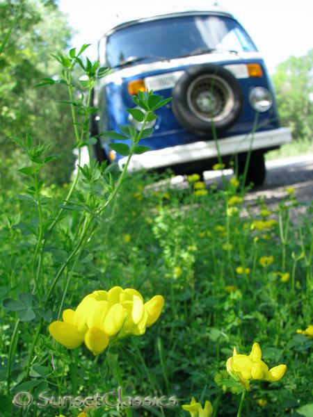 1974-vw-bus-pop-top-530.jpg