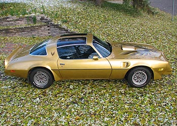 1978 Pontiac Trans Am For Sale