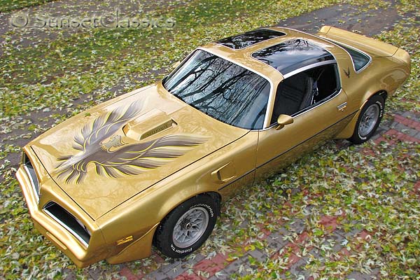 1978 Pontiac Trans-Am for sale