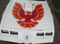 1979 Pontiac Trans Am Firebird Close-up