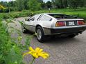 1982 Delorean in a Daisy Field