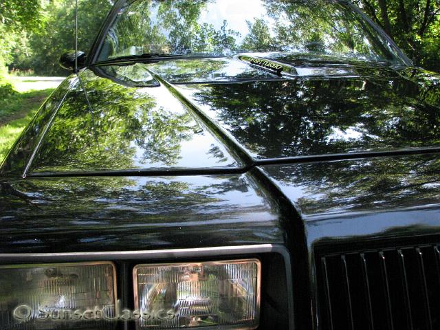1987-buick-grand-national-446.jpg